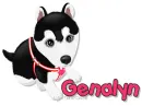 husky