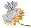 creddy