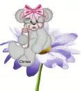 creddy