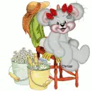 creddy