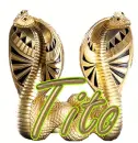 Snake - for Tito
