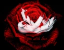 With love for Cindy