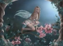 FAIRY