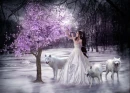 WOODLAND FAIRY