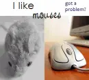 I like mouses