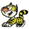 active cat