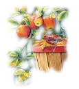 apple and bird tube