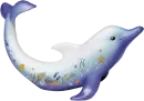 dolphin tube