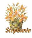 Stephanie