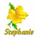 Stephanie