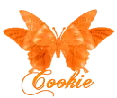 Cookie