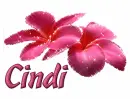 CINDI