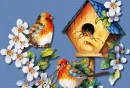 BIRDS