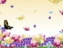 BUTTERFLIES