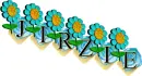 JIRZIE