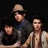 jonas brothers