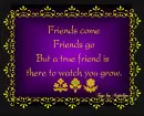 Friends