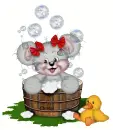 creddy