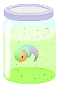 baby rainbow henry