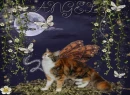 Butterfly Cat