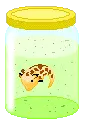 giraffe henry