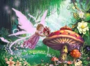 MUSHROOM FAIRY
