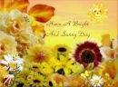 SUNNY DAY