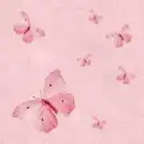 pink butterfly