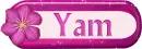 Yam