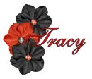 Tracy