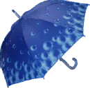umbrell