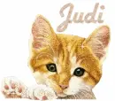 Judi
