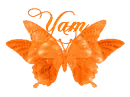 Yam