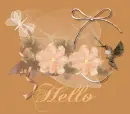 Hello