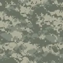 Military