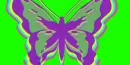 butterflies