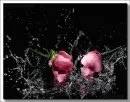 Flowers.