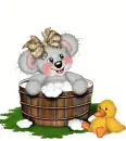 creddy