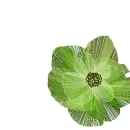 green flower
