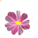 pink flower