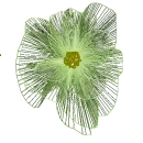 green flower