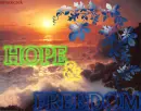 Hope&Freedom