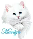 Marilyn