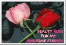 Beauty Rose