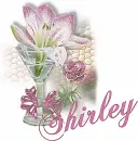 Shirley