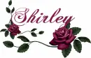 Shirley