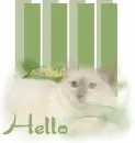 Hello