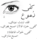 dmou3