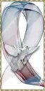 Support Our Troops Ribbon