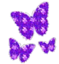 three dancing butterflys